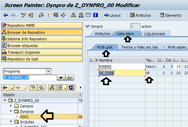 dynpro-variable-ok